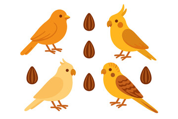 Colorful birds and seeds in a playful arrangement highlighting their vibrant features and unique characteristics