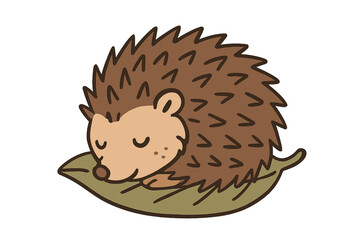 Cute sleeping hedgehog curled up resting on a large green leaf during the autumn season