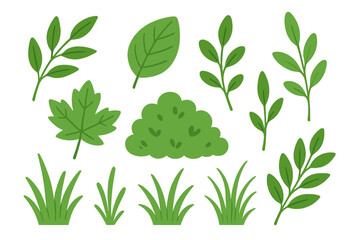 Various green leaves and bushes illustrated in a vibrant style on a white background ideal for nature themes