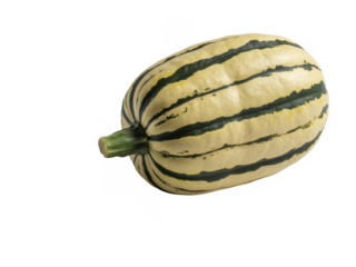 White and green striped pumpkin isolated on a transparent background squash