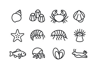 Obraz premium Intertidal Icon Grid. Intertidal zone creatures. Line icon set o