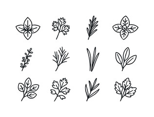 Fototapeta premium Herb Icons Grid. Herb varieties. Line icon set of Herb varieties