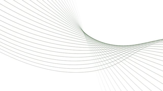 Abstract Green Wavy Lines Forming a Swirl on a White Background image photo