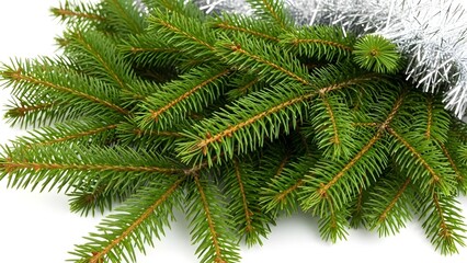 Obraz premium A close-up view of fresh green fir branches with silver tinsel for a festive holiday decoration