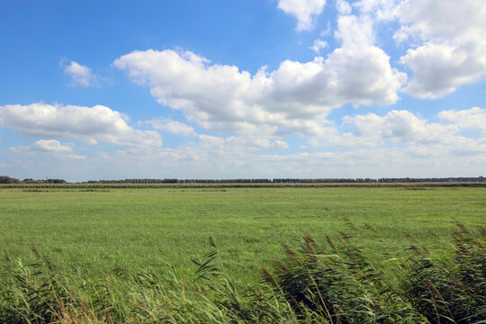Meadows in the Zuidplaspolder where new village Cortelande will be build