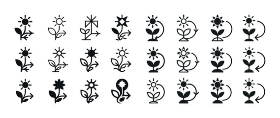 Black and white plant and sun icon set