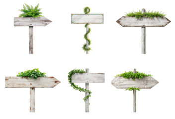 Old wooden signpost with  green   plant   on a pole isolated on transparent background