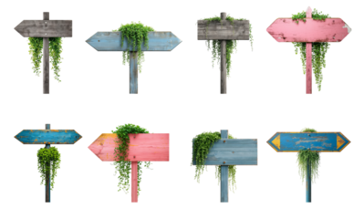 Old wooden signpost with  green   plant   on a pole isolated on transparent background