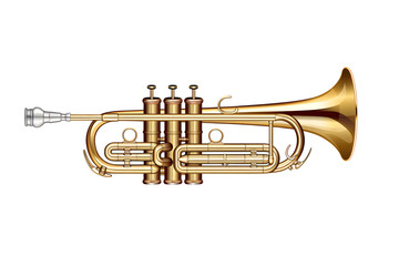 Fototapeta premium Cornet with polished gold finish and subtle engraved details, Isolated to Transparent Background