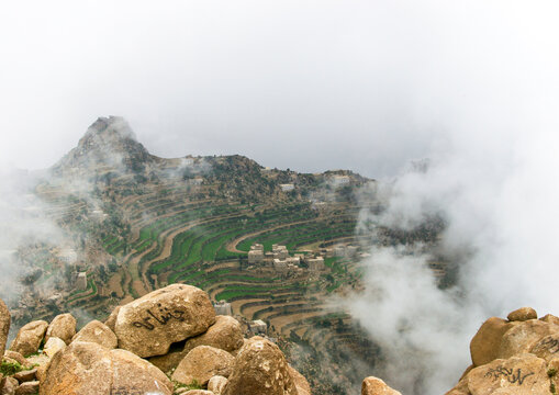 Terraces planted with cereals, Sanaa Governorate, Manakha, Yemen