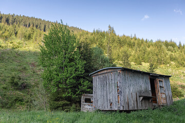 Abandoned hut in the mountain woods in sunny day.
