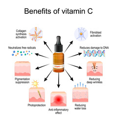 Vitamin C serum. Effects on Human Skin