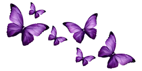 Set of purple butterflies flying in air concept. A vibrant collection of purple butterflies in flight, elegant and enchanting.