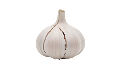 Fresh Garlic Bulb: A close-up shot of a single, fresh garlic bulb, its outer layers delicately peeled to reveal the pure white cloves, with a focus on its natural textures and organic form.