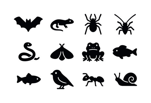 Cave Creatures Icons. Cave Creatures. Solid icon set of Cave Cre