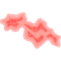 Zoster virus illustration