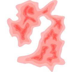 Zoster virus illustration