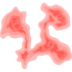 Zoster virus illustration