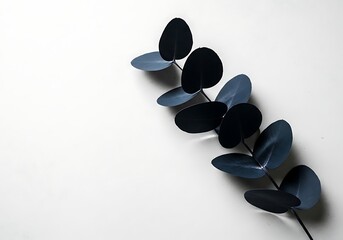 A single branch with dark bluegreen oval leaves arranged alternately on a white background, presented in a minimalist style