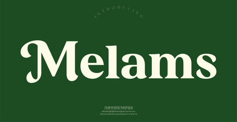 Melams Sports minimal tech font letter set. Luxury vector typeface for company.