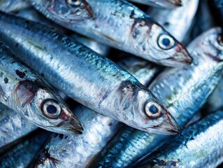 Obraz premium Fresh Sardines: A close-up shot reveals a pile of freshly caught sardines, their silvery scales glistening under the light, hinting at a delicious and healthy meal.