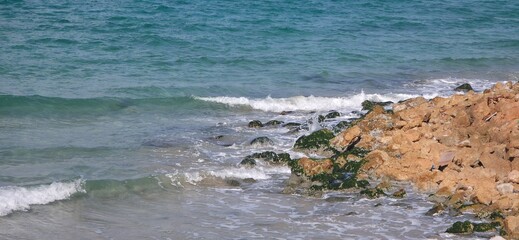 Sea Rocks, Sea Weeds, and Sea Shells on the Alexandria Seashore with Waves, A natural coastal scene from the Alexandria seashore featuring sea rocks, sea weeds, and scattered sea shells