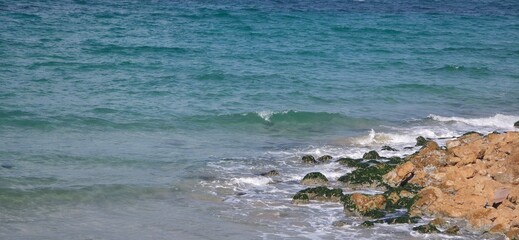 Sea Rocks, Sea Weeds, and Sea Shells on the Alexandria Seashore with Waves, A natural coastal scene from the Alexandria seashore featuring sea rocks, sea weeds, and scattered sea shells