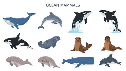 A collection of twelve cartoon illustrations of various ocean mammals on a white background © Faisal