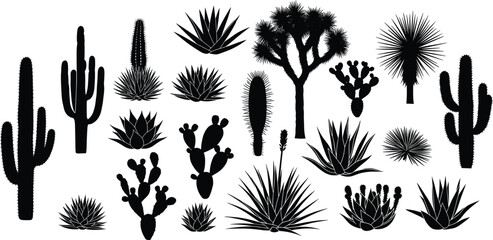 Desert cactus silhouette collection, succulent plant vector, botanical shape variety, flat black illustration, cad drawing flat vector illustration © VectoVerse