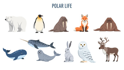 Illustration of ten different arctic animals arranged in two rows under the title POLAR LIFE © Faisal