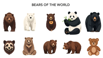 Fototapeta premium Ten stylized illustrations of various bear species and a teddy bear