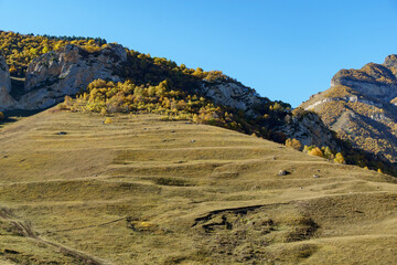 Beautiful landscape featuring rolling hills and towering rock formations under clear blue sky, with golden autumn foliage adding vibrant contrast. Kabardino-Balkaria. El-Tyubu