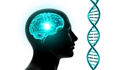 Human brain and dna helix symbolizing genetics neuroscience and scientific discovery