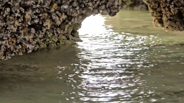Mesmerizing water flow under a natural arch of barnacle covered rock formations. Strong backlight creates a dramatic high-contrast and sparkling water surface Excellent specialized footage