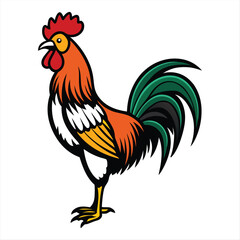 Colorful Rooster Vector Illustration – Farm Chicken Mascot Logo Design
