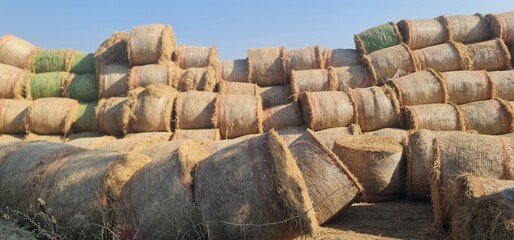 Large Piles of Harvested Hay Bales Stored in a Dry Field, Showcasing Rural Farming and Agricultural Practices Under a Clear Blue Sky