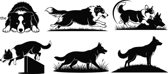 Border Collie illustrations, herding dog poses, jumping, running, lying down, alert stance, vector art, black blue style, active pets
