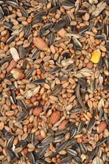 A detailed, full-frame shot of a mixed blend of seeds, including sunflower seeds, peanuts, and various grains, used for feeding birds