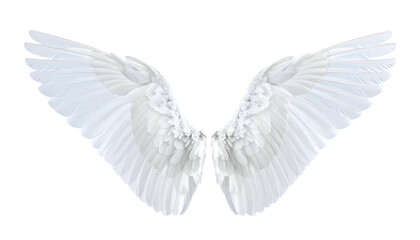 Fototapeta premium Two large, open white wings with detailed feather textures set against a black background