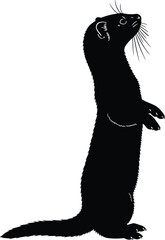 Silhouette of standing weasel, upright animal pose, blue outline, wildlife illustration, graphic design element, editable vector, isolated mammal
