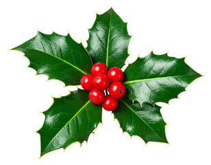 Classic Holly Sprig with Three Green Leaves and Red Berries, Front View, Isolated on Transparent Background (2)