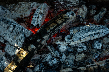Charred firewood glowing with red embers and white ash in open flame during outdoor burning. The quiet transformation of matter as wood turns to flame ash and ember in elemental cycle of fire.