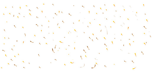 Confetti Dots and Strips Scattered on White Background, Festive Party Decoration Concept for Celebration.