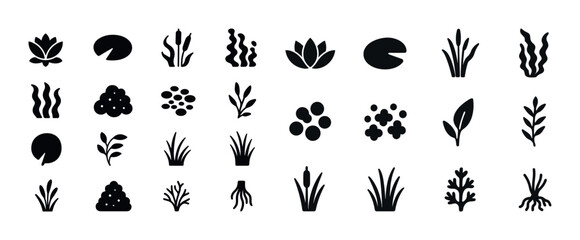 Obraz premium Black silhouette botanical icons: diverse aquatic plants collect