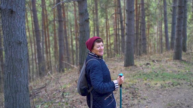 Senior woman smiling while hiking with trekking poles in peaceful pine forest