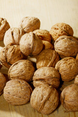 Echte Walnuß, Juglans regia