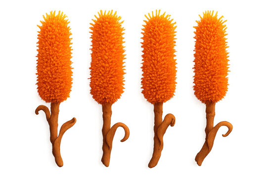 Four cartoon-style orange fluffy trees with slender brown trunks, a creative illustration with transparent background