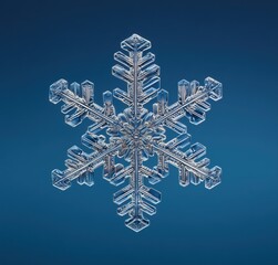 Beautiful, symmetrical snowflake rendering on a blue background.