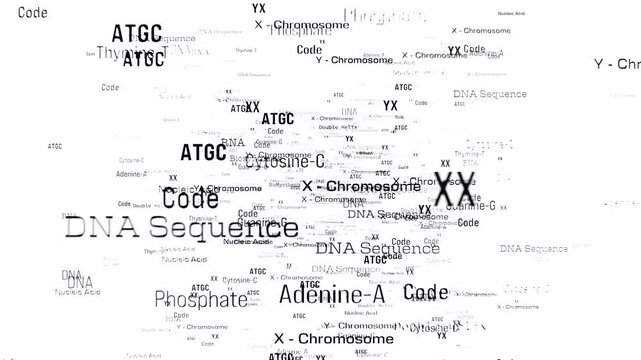 DNA, RNA, X and Y chromosome, biotechnology, word cloud. DNA sequence, phosphate, amino acids, biosynthesis, code, science, nucleic acids.