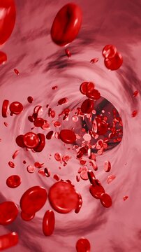 Human vein or artery with red blood cells. Hemoglobin, blood flow, corpuscle, blood plasma, arteries, healthcare and medicine. 3D animation